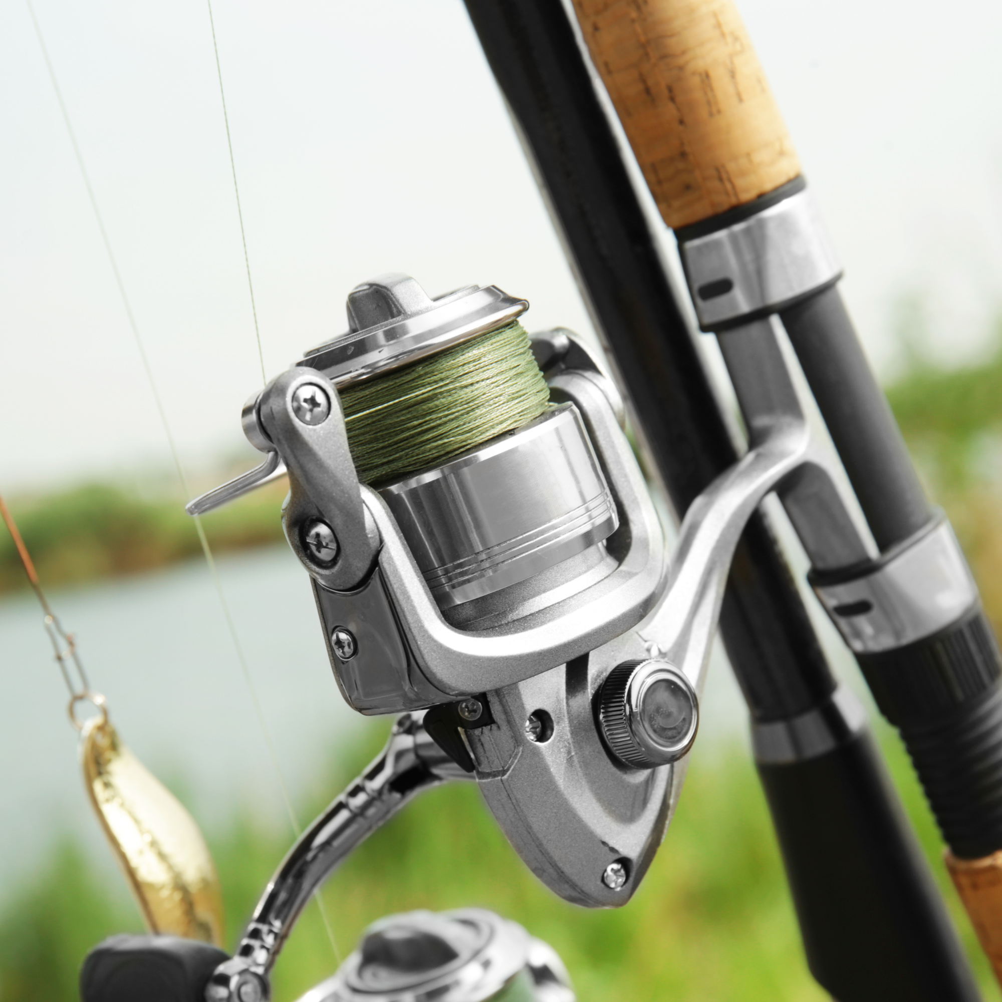 Reels