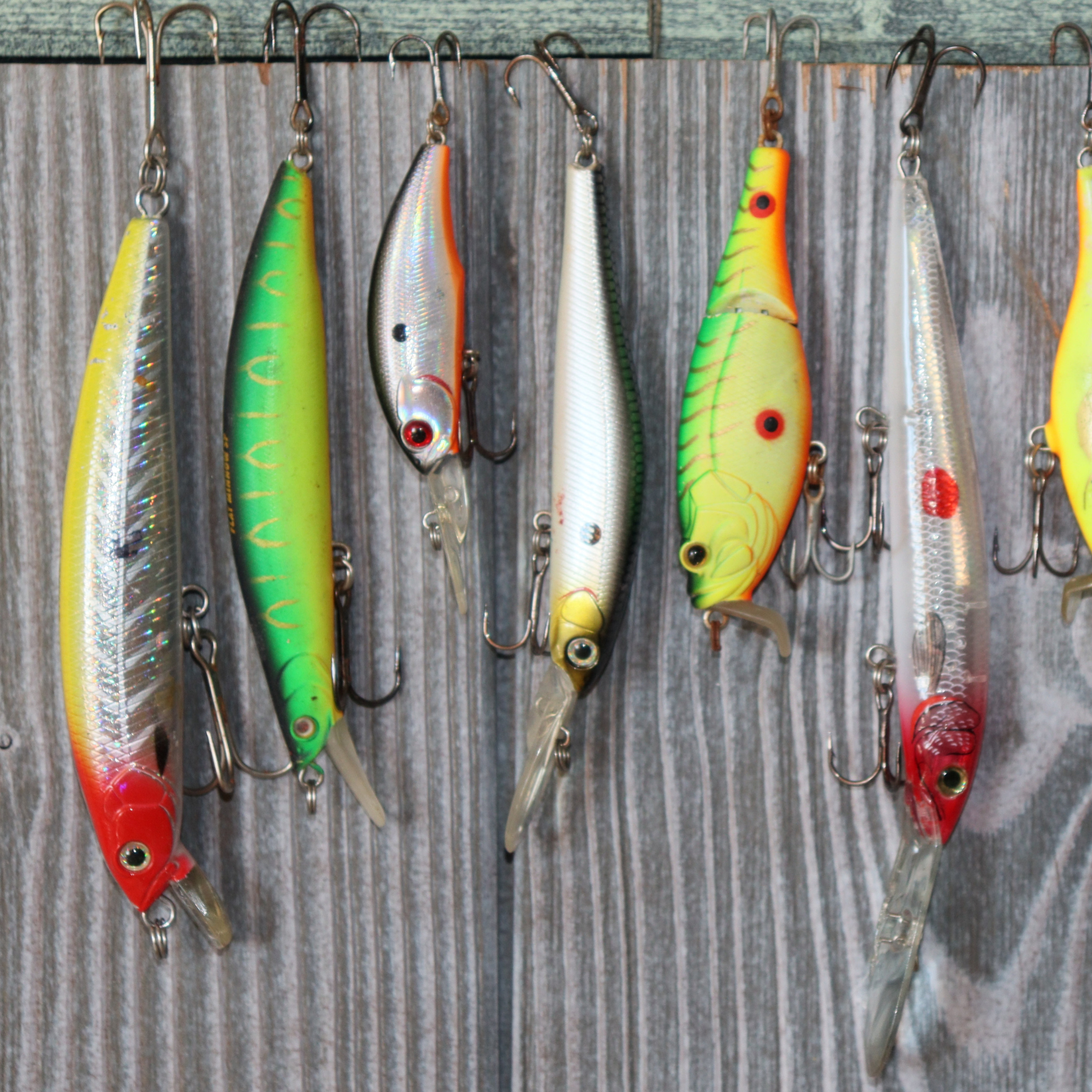 Lures & Bait