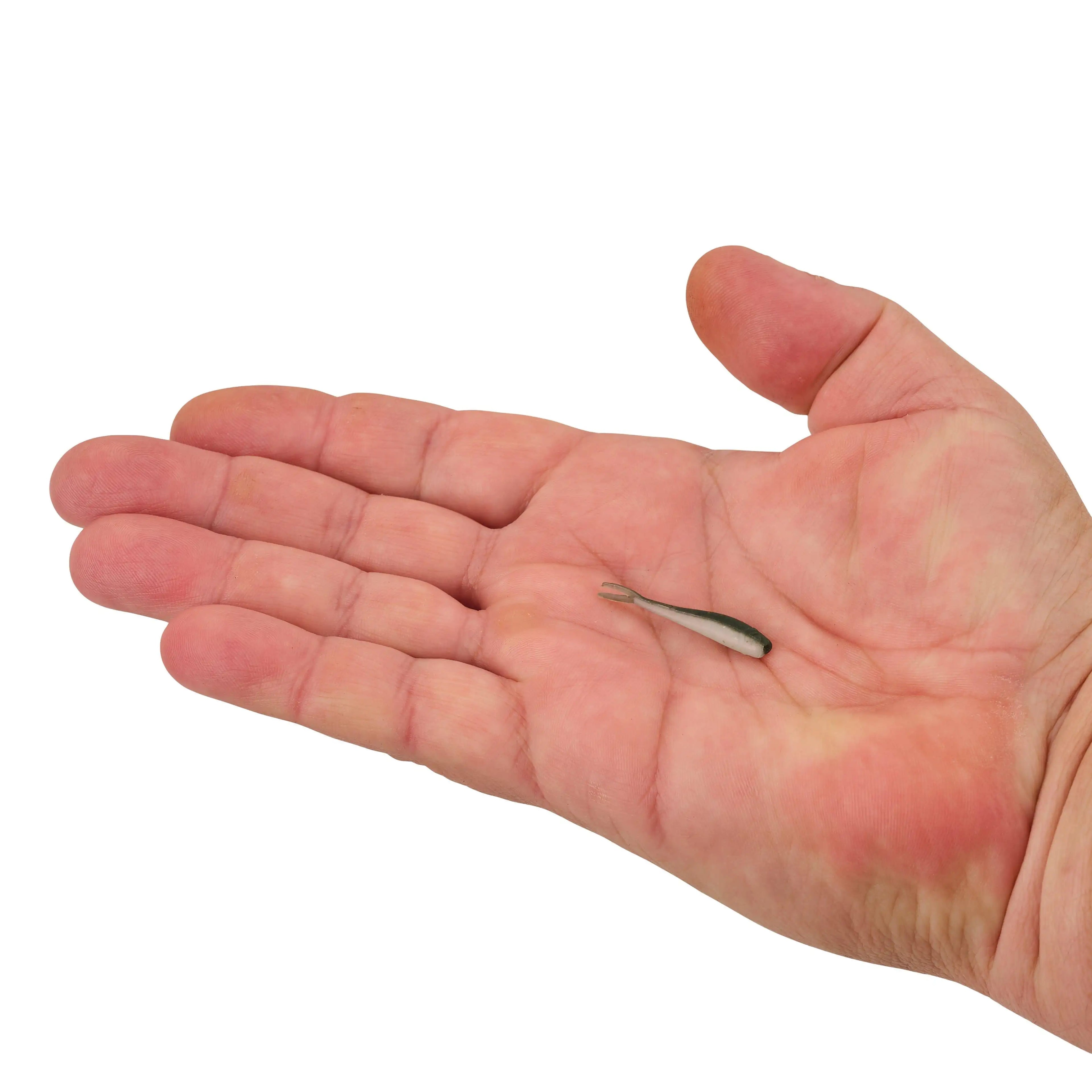 (2 pack) Berkley Emerald Silver  Minnow