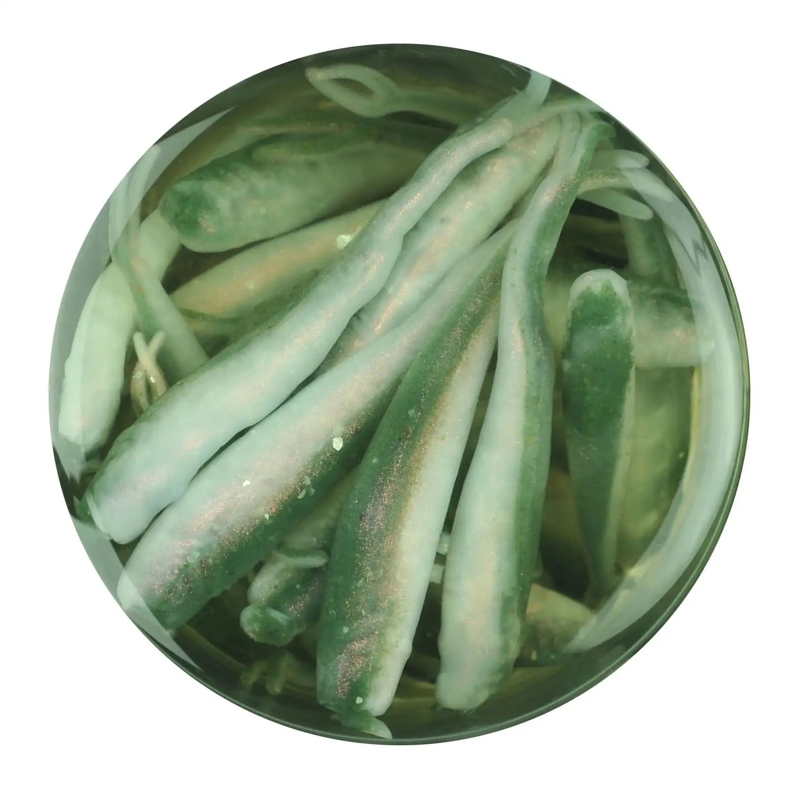 (2 pack) Berkley Emerald Silver  Minnow
