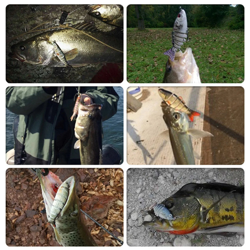 Multi Joint Lure Set
