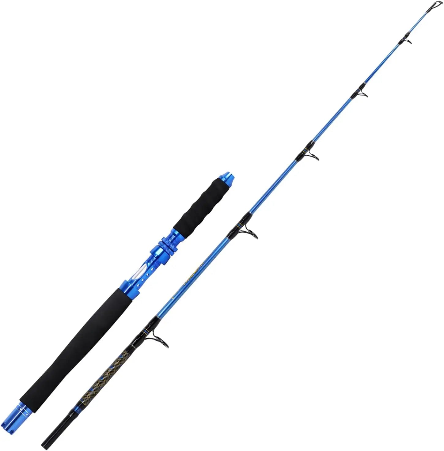 Saltwater Jigging Rod
