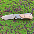 Outdoor Survival, Hunting, Fishing, Camping Tactics, Sharp Folding Fruit Knife