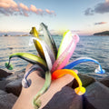 Paddle Tail Swim Baits