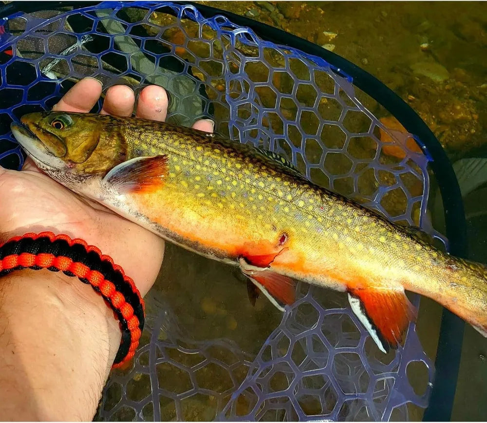 Lightweight Carbon Fiber Floating Fishing Net with Clear Rubber for Trout Catch & Release