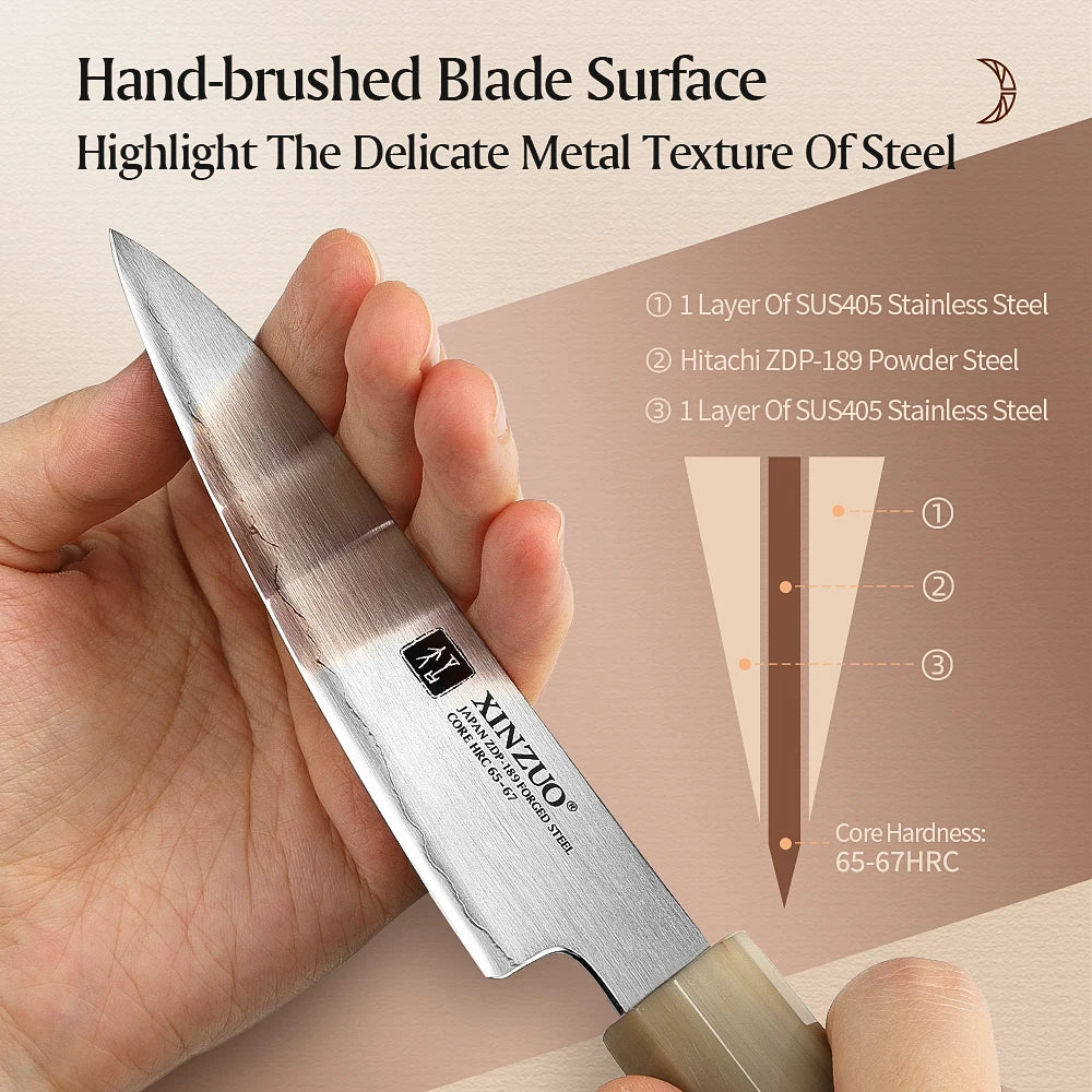XINZUO 4.3" inch Small Paring Knife Japanes ZDP-189 Power Steel with Desert Ironwood +White Bull Horn Sharp Fruit Meat Cutter